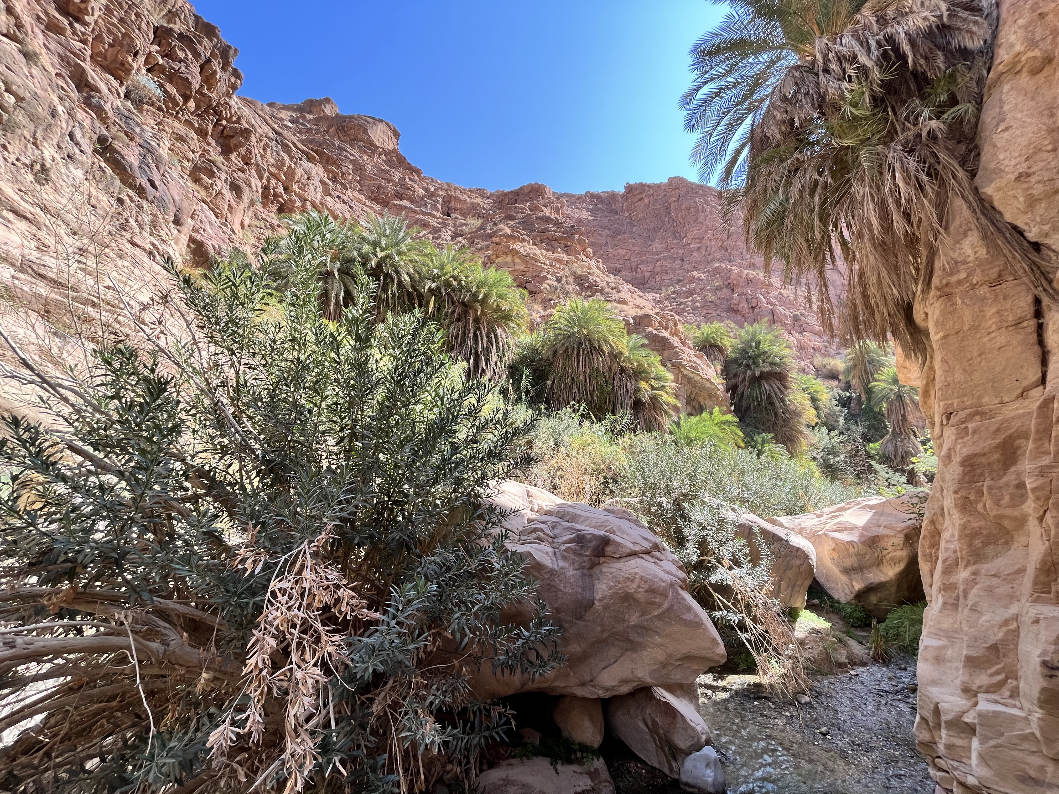 Wadi Ghuweir (Giordania)